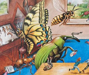 picture-insects